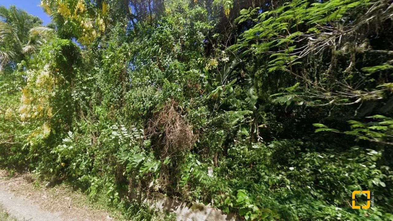 Terreno Comercial/Residencial em Ribeirão Da Ilha - Foto 4