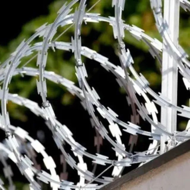 Cercas Elétricas e Concertinas - Foto 4