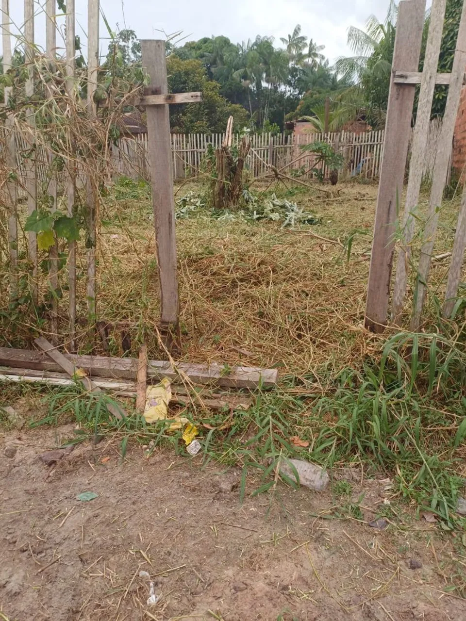 Terreno
