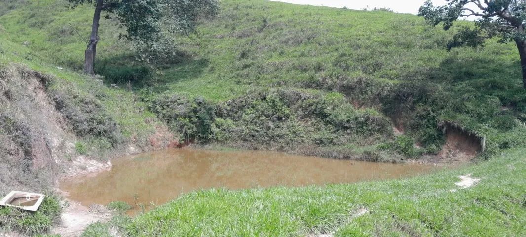 Sitio de 8 Alqueire em MG - Foto 4