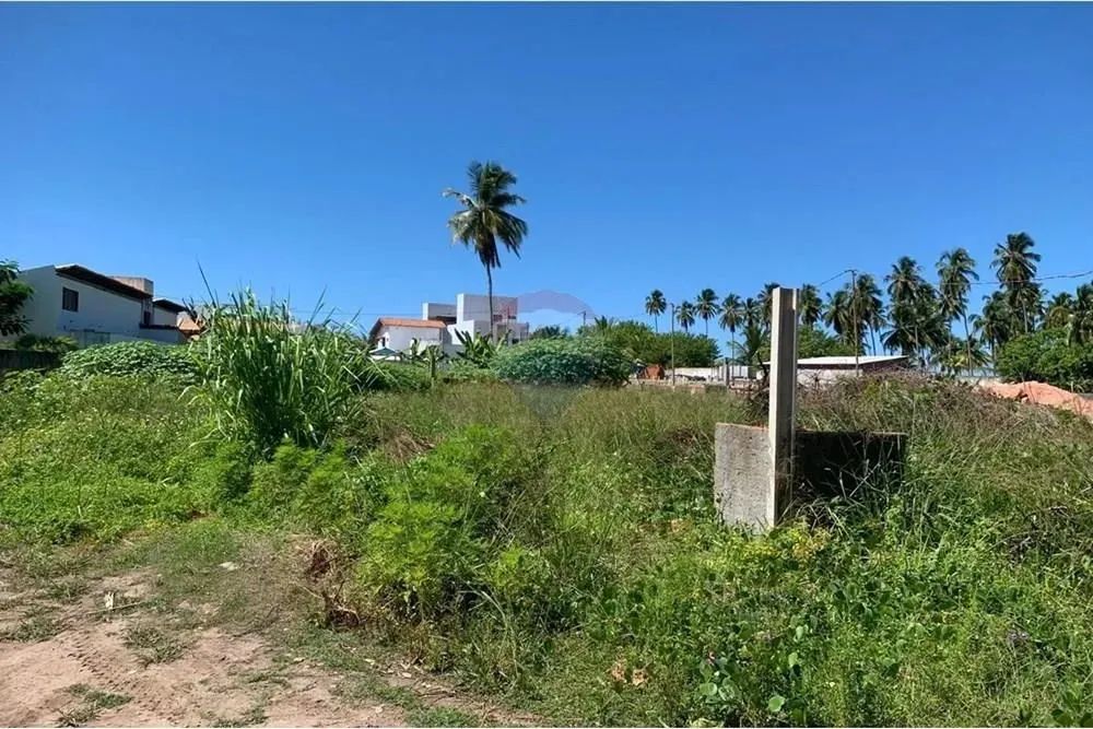 No Paraíso de Tatuamunha tem umTerreno esperando por você! - Foto 5