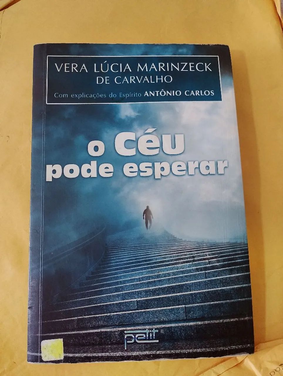 livro o céu pode esperar