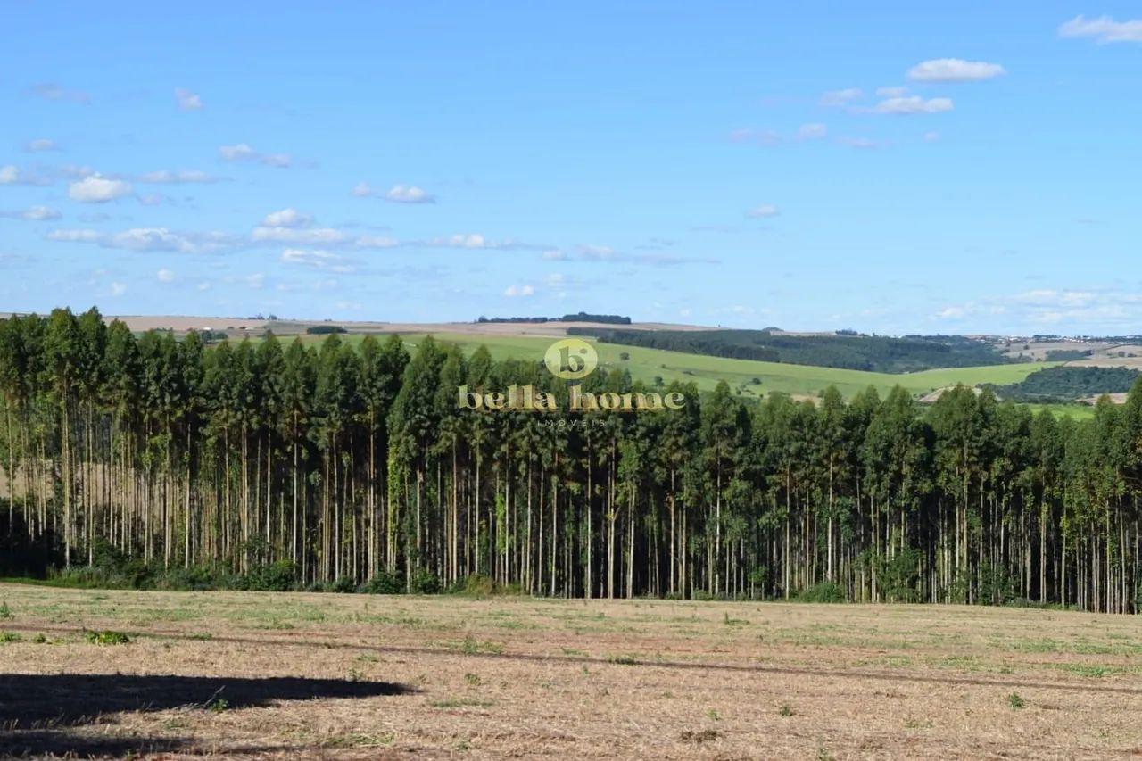 Fazenda à venda 6M², Centro, São Sebastião da Amoreira - PR - Foto 2
