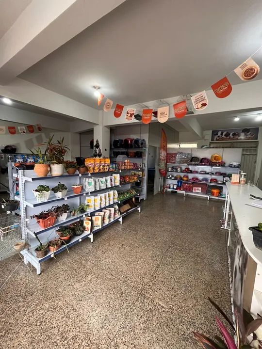 Pet Shop - Essência Animal - Foto 4
