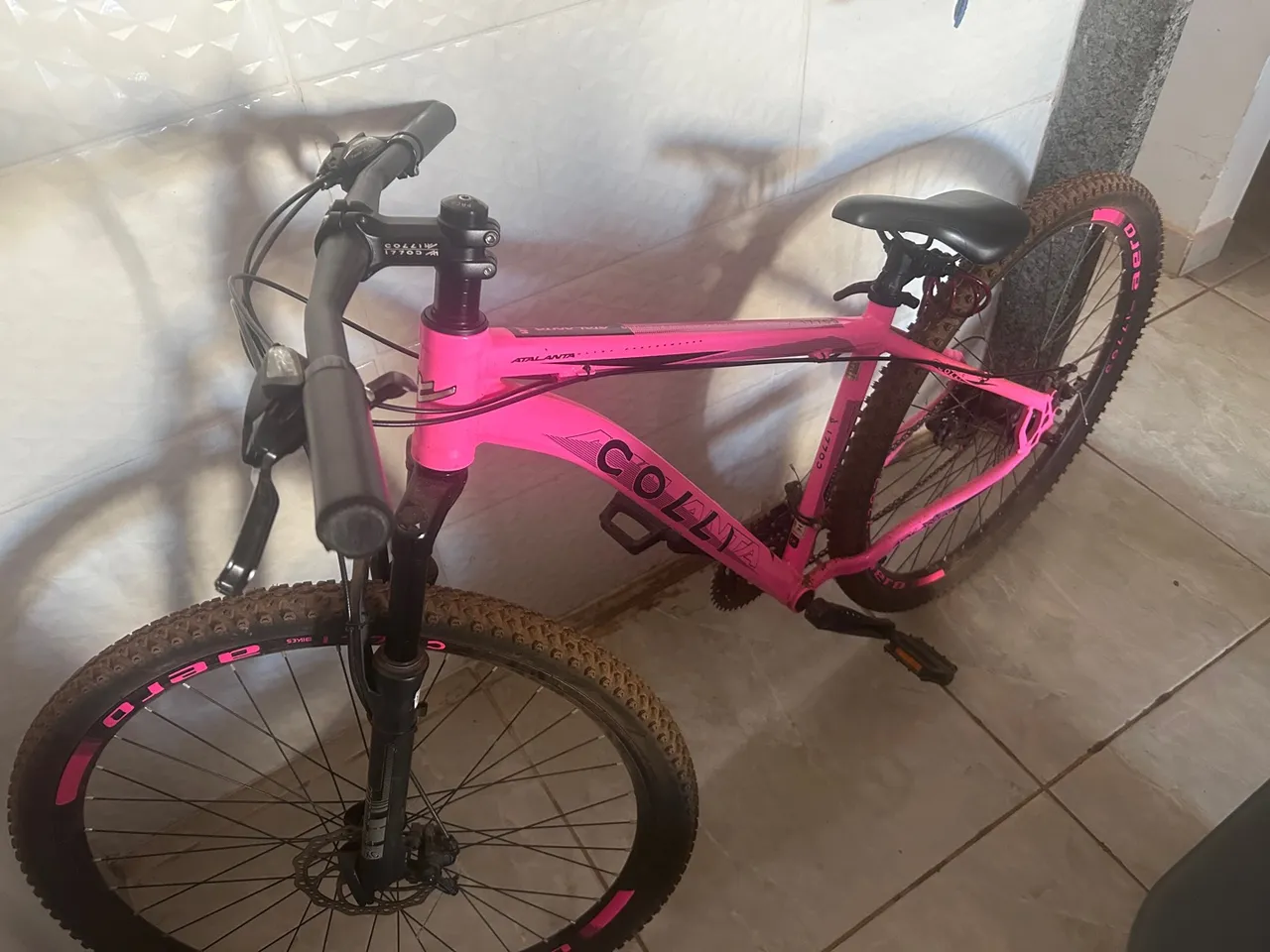 Bicicleta