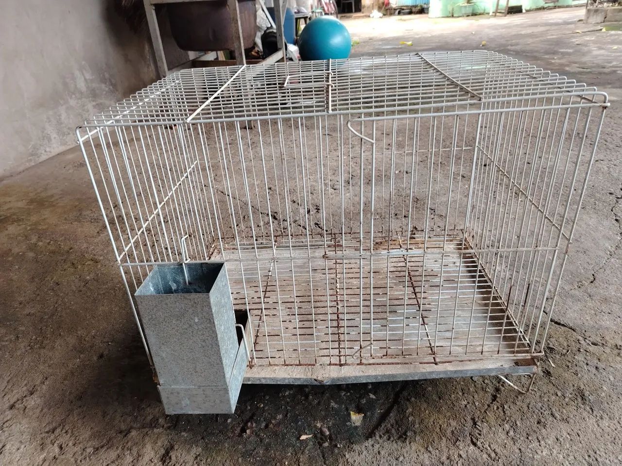 Gaiola para porquinho da Índia 