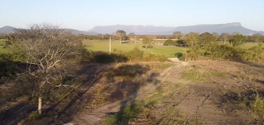 Sítio com 41.2 hectares Escriturado! Ótima oportunidade de investimento perto da cidade!