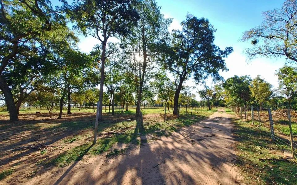 Campo Grande - Chácara - Chácara das Mansões