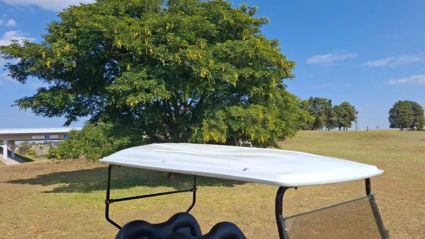 Carrinho Elétrico 4 Passageiros - Foto 5