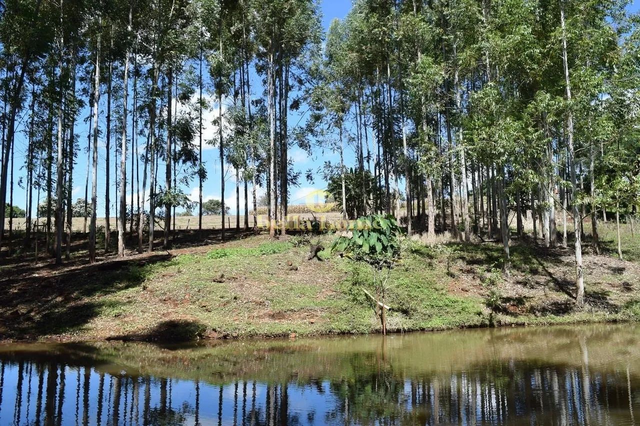 Fazenda à venda 6M², Centro, São Sebastião da Amoreira - PR - Foto 5