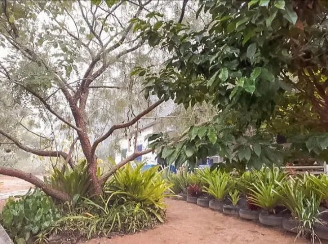 PROPRIEDADE RURAL À VENDA - POTÉ/MG - Foto 5