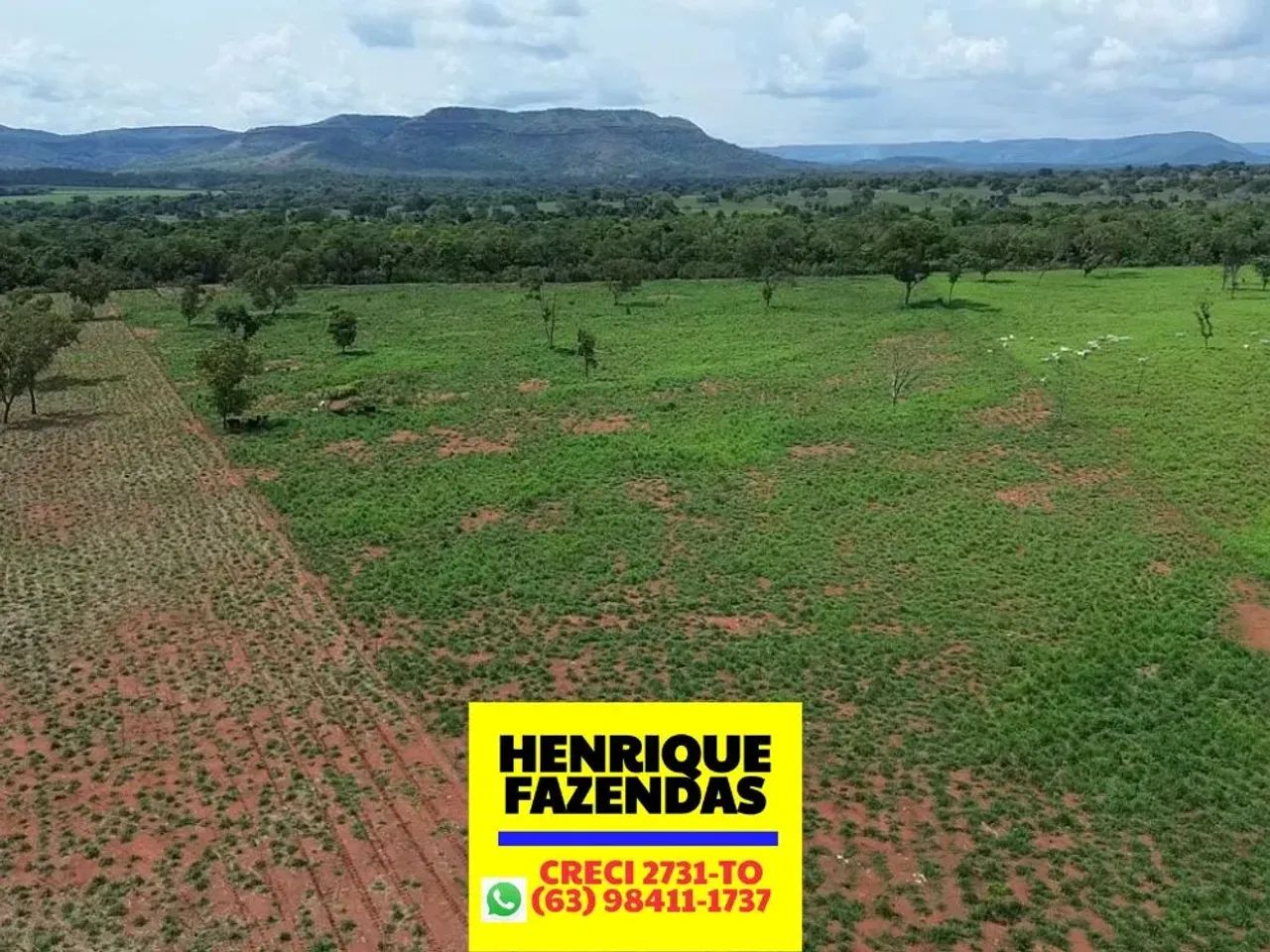 Imóvel rural terra barro 1 km asfalto 25 alqueires toda montada dupla aptidão terra extra - Foto 2