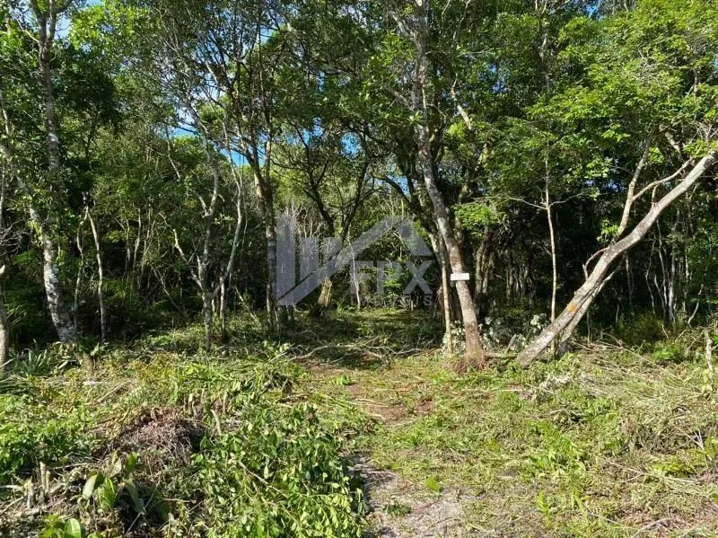 Terreno para Venda em Peruíbe, Estância Santa Cruz