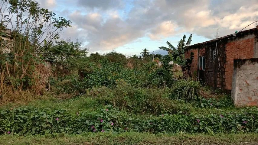 2 Terrenos 12×60 - Foto 2