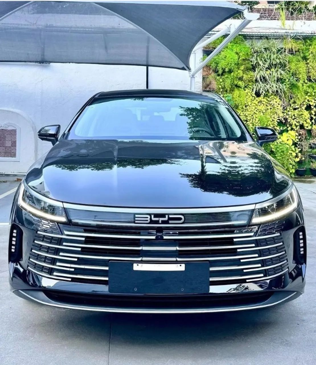 BYD King 2026