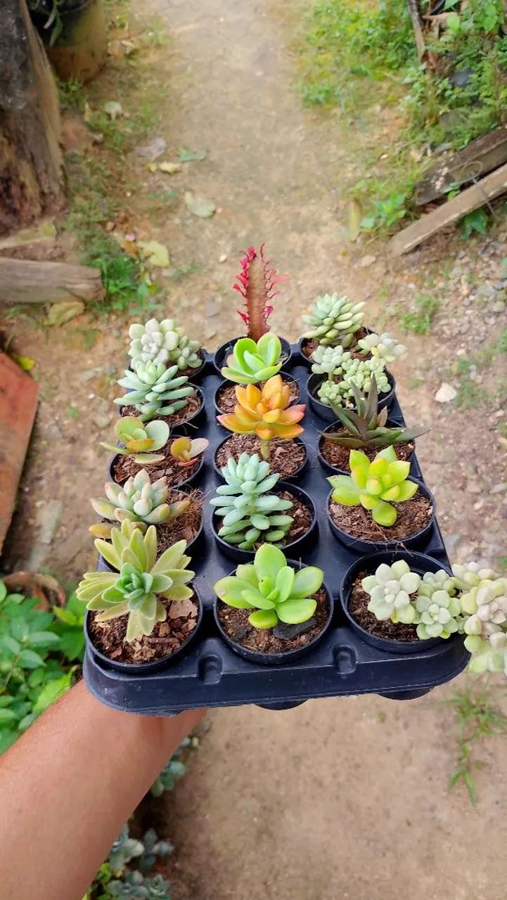 lembrancinhas  - Foto 4