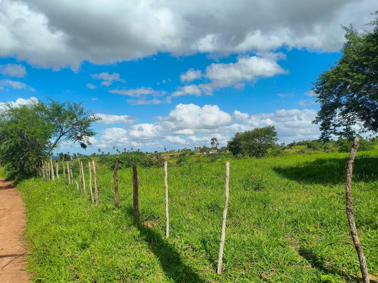 Oportunidade Única: Terreno Amplo com 6 Tarefas e minantes  - Foto 2