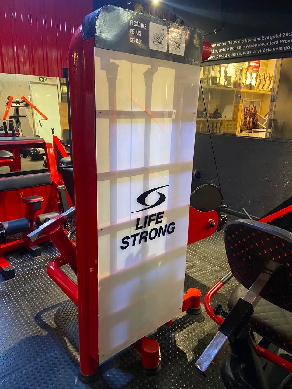 Cadeira Flexora Profissional - Life Strong