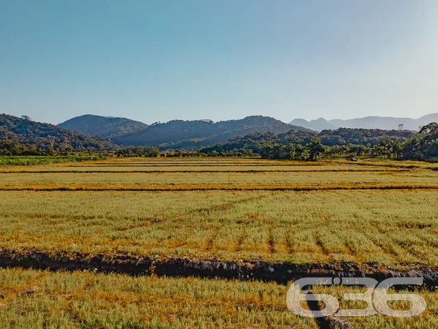 Terreno | Joinville | Vila Nova - Foto 4