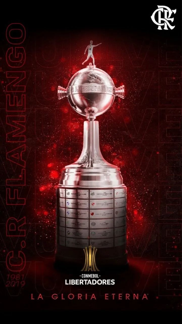 FLAMENGO - Foto 2