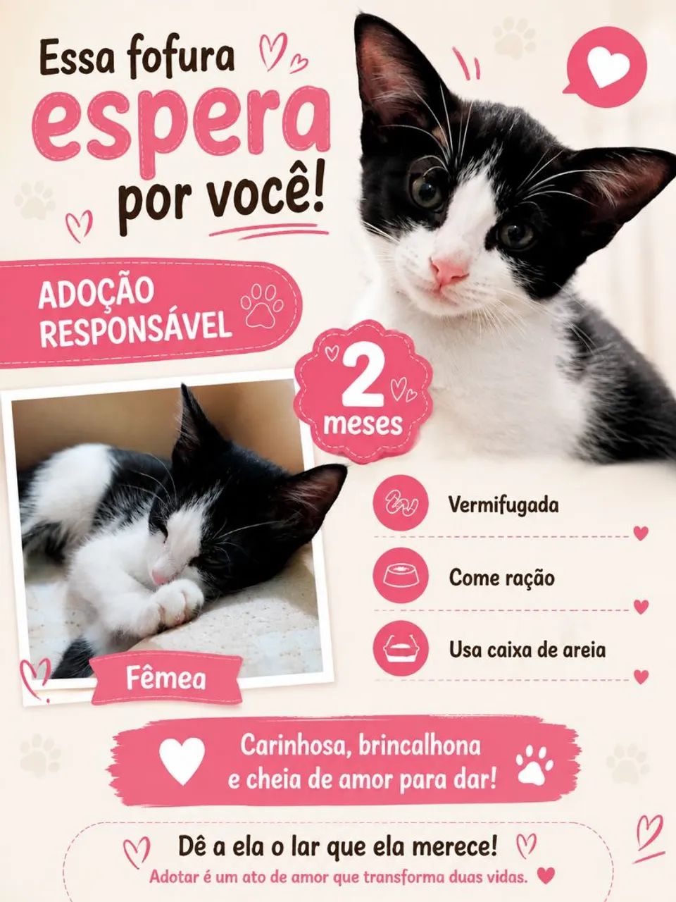 Adoção 