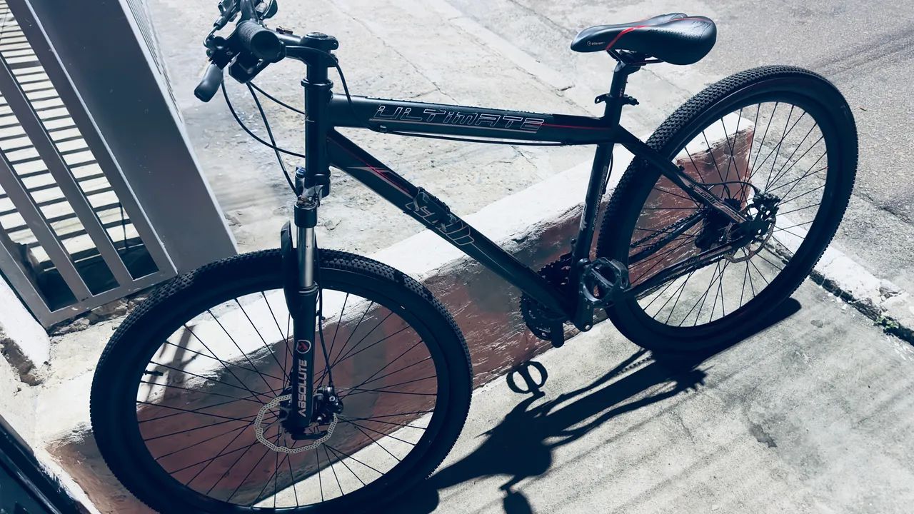 Bike Aro 29