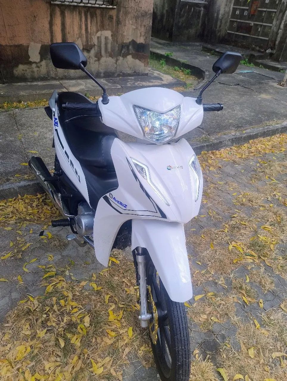 Avelloz nova 