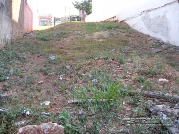 TERRENO,0 Dormitorio(s) bairro Barão - Foto 2