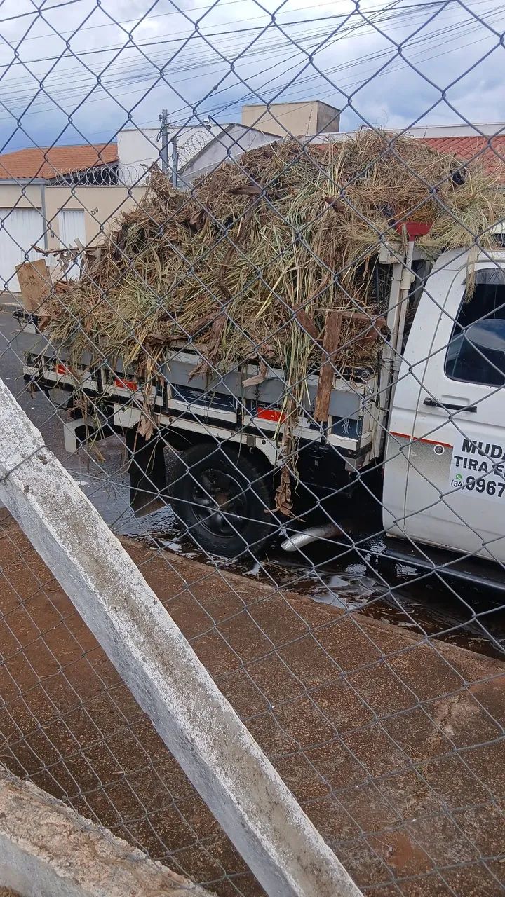 Mudança tira entulhos  - Foto 2