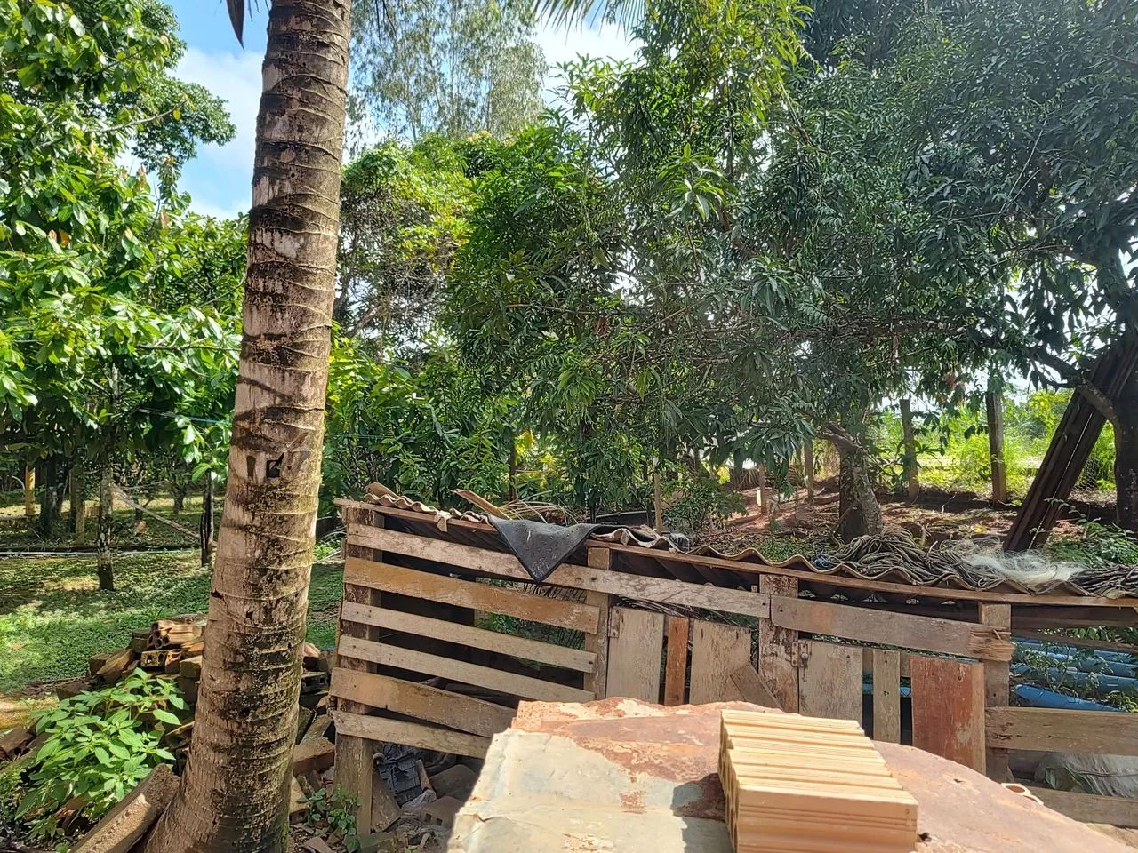 Vendo ou troco chácara na beira do rio mucajaí  - Foto 2