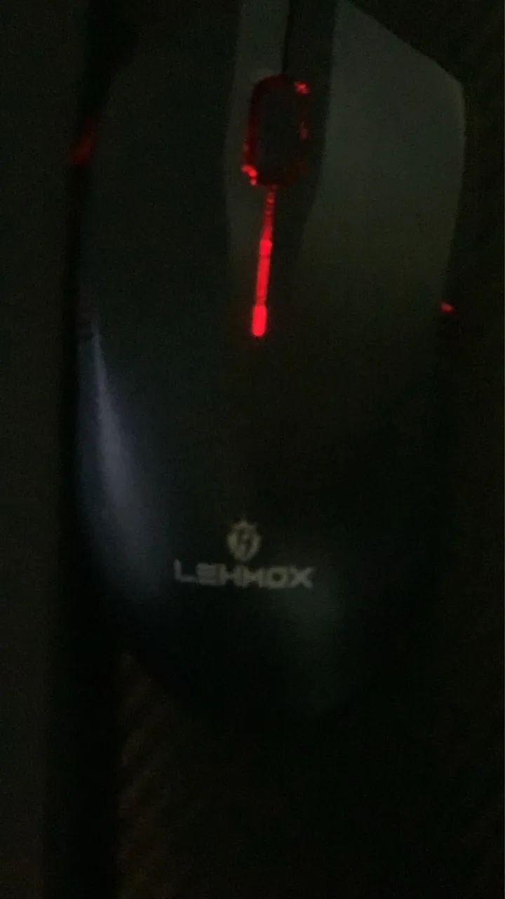 Mouse