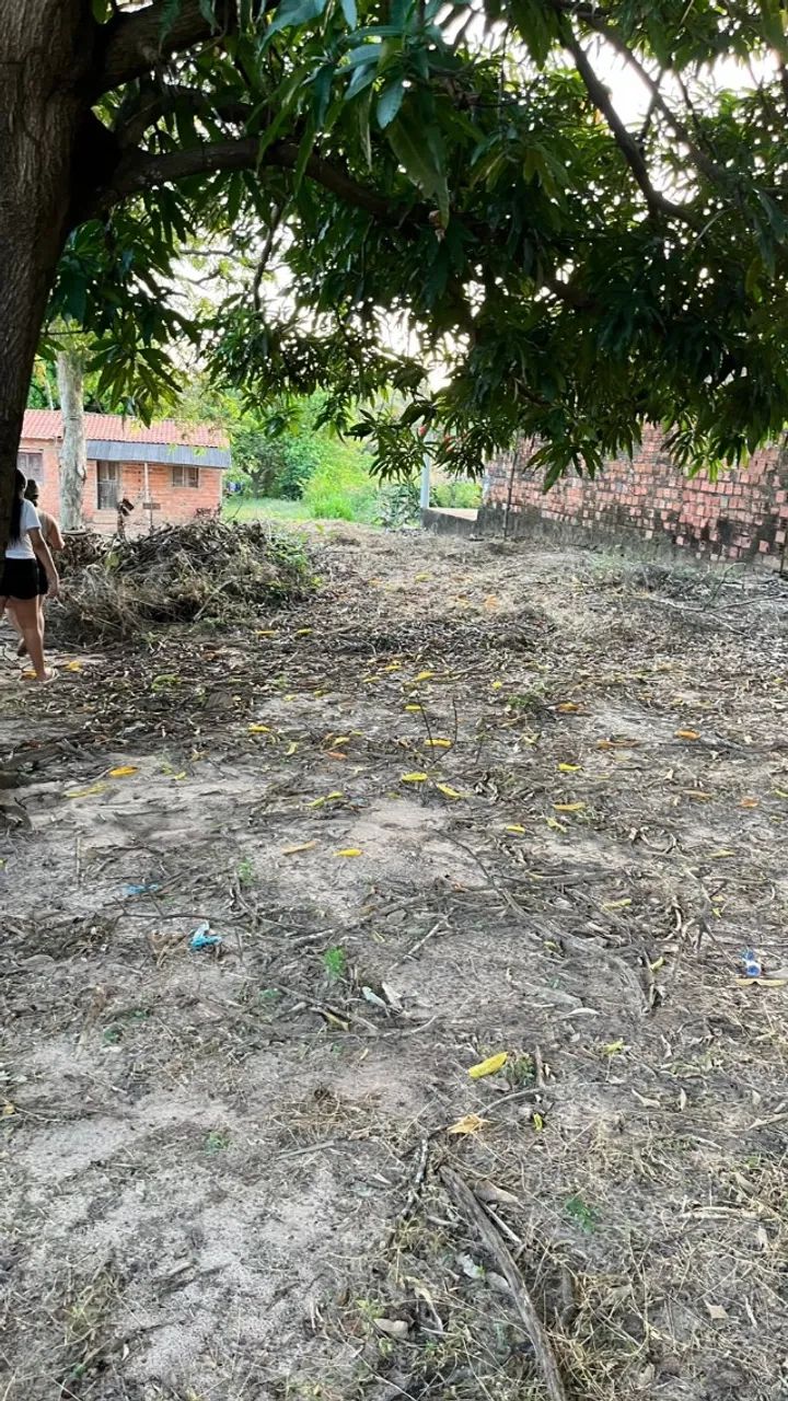 Vende-se terreno na raposa MA - Foto 2