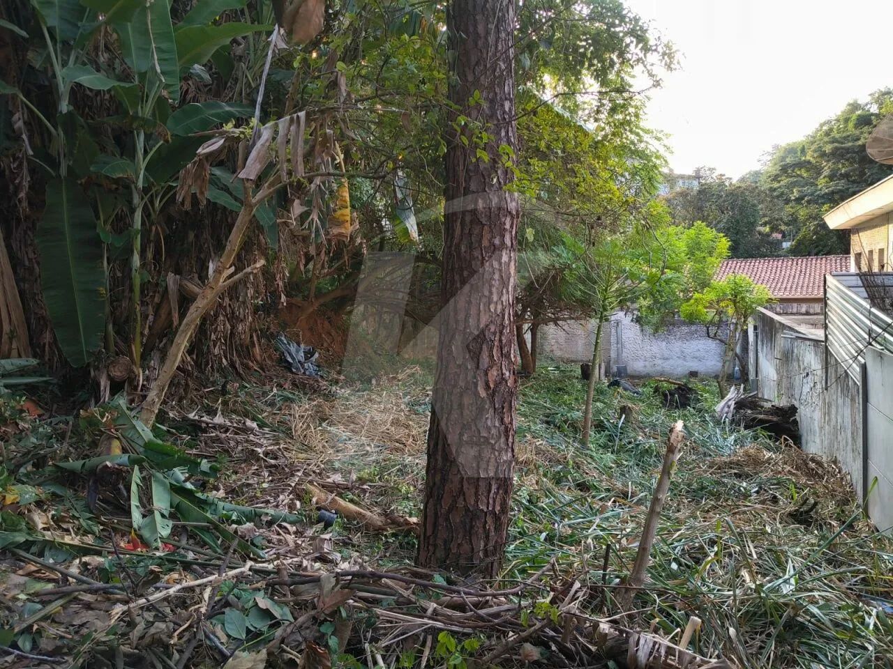 Terreno 404 m, ideal para construção de casa, Barro Branco - Foto 5