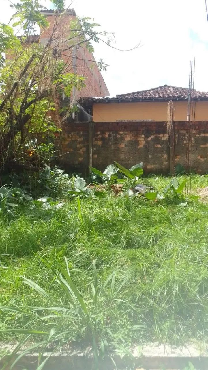 TERRENOS 