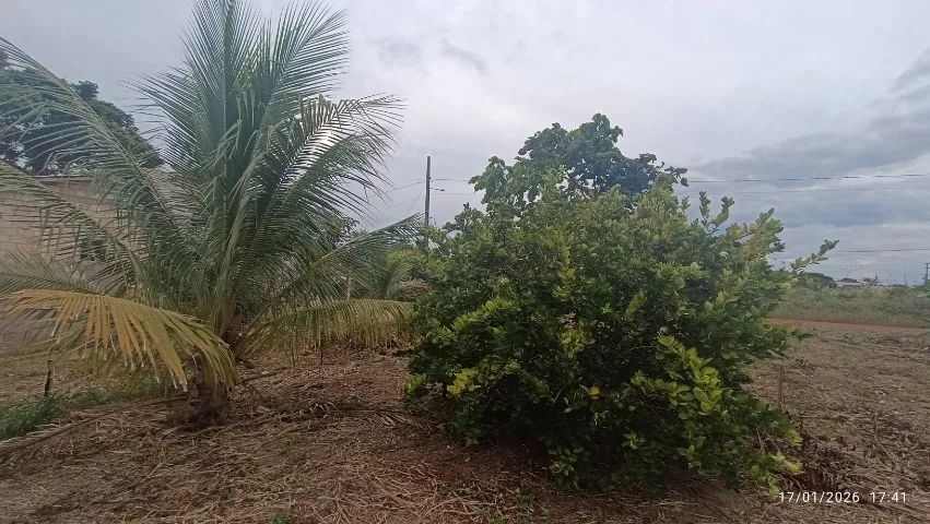 Lote de esquina  - Foto 3
