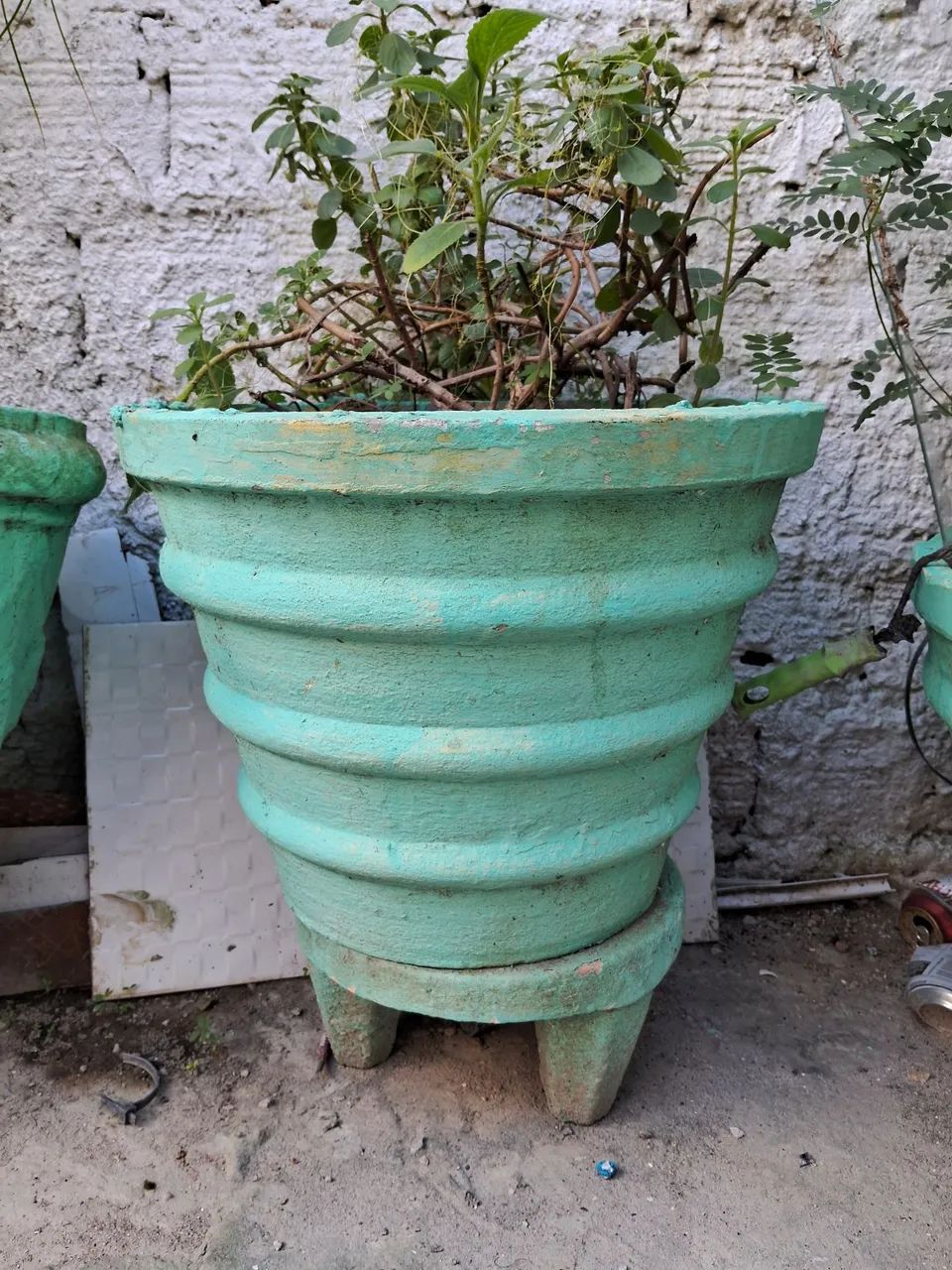 Vasos de planta (cimento)