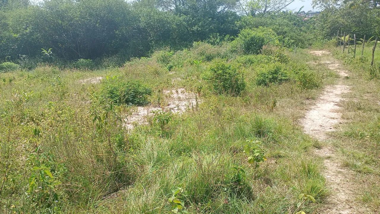 Terreno 10×20 - Foto 2