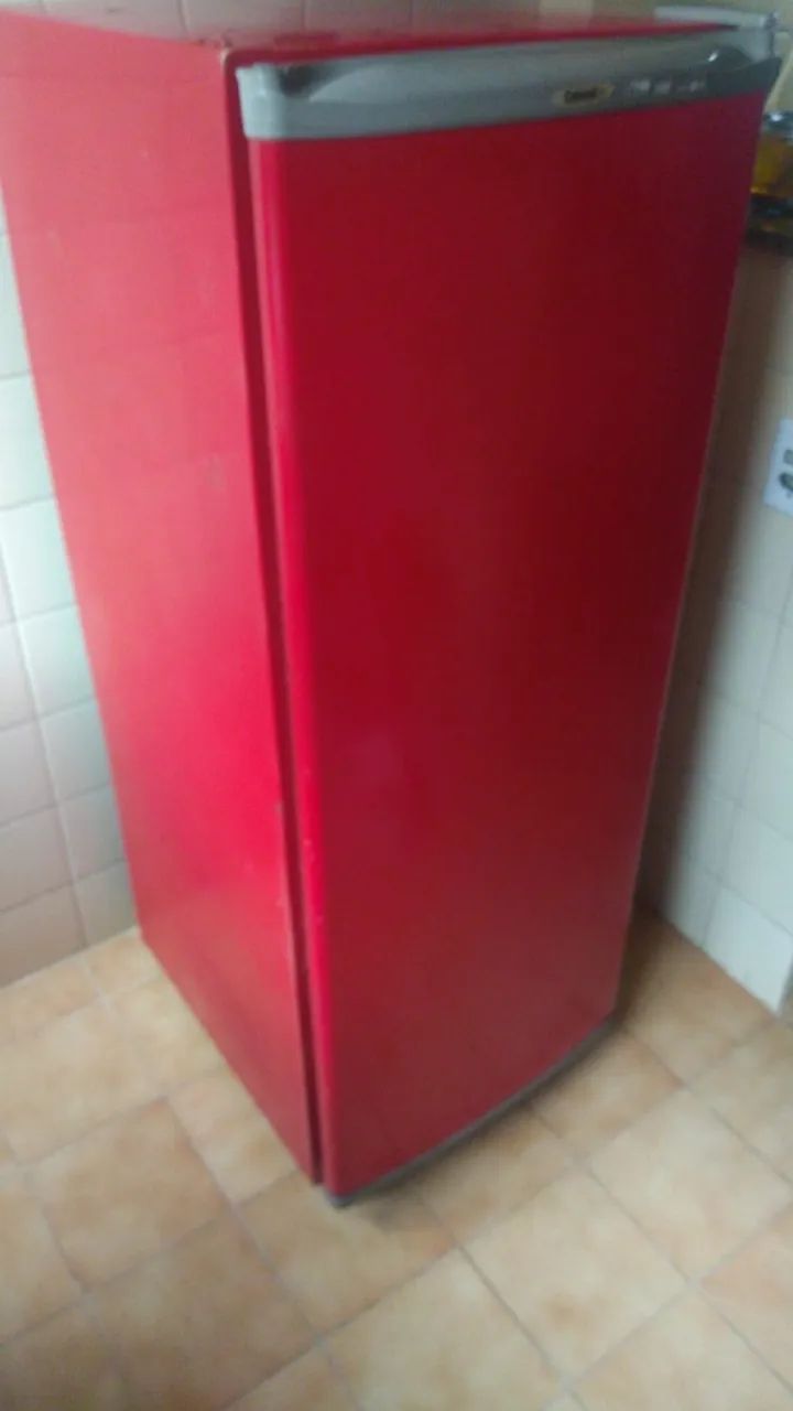 freezer vertical consul