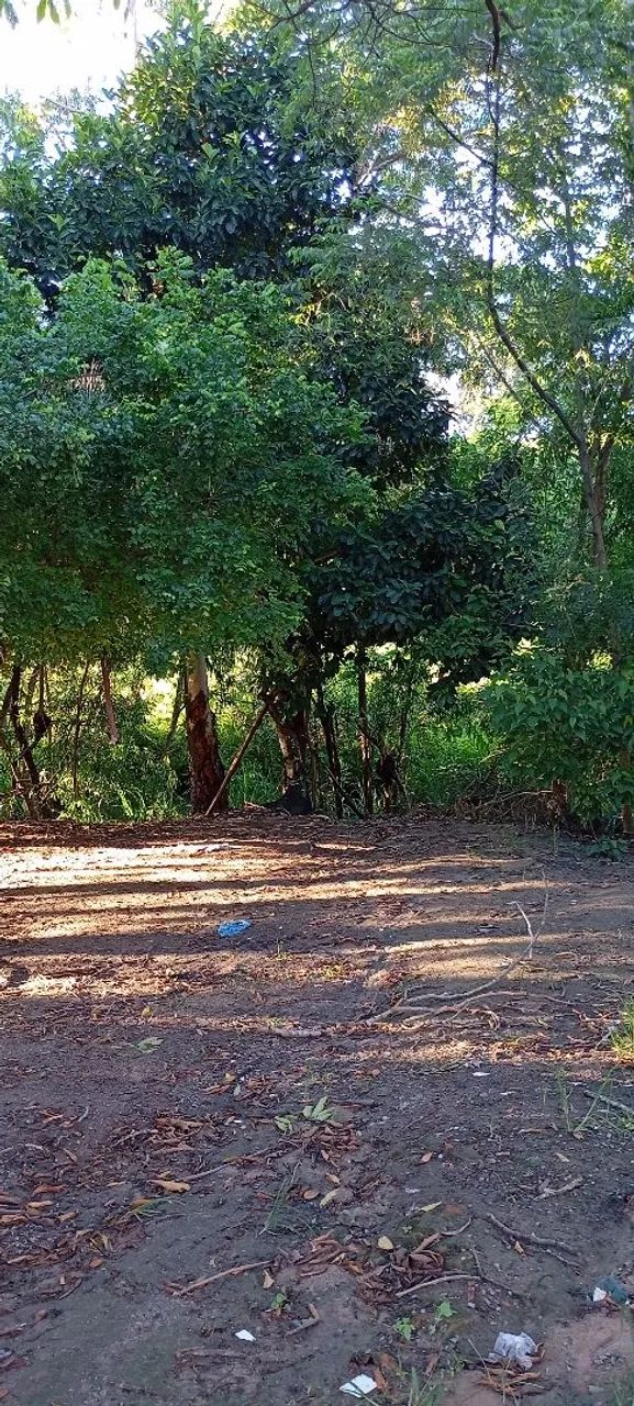 Vendo casa com lote - Foto 5