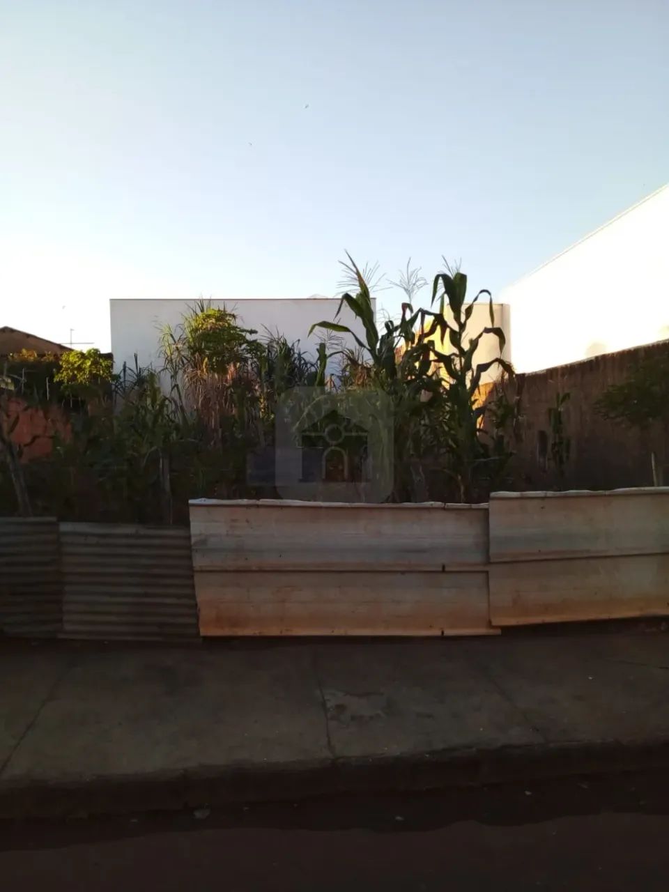 Terreno à Venda - Foto 3