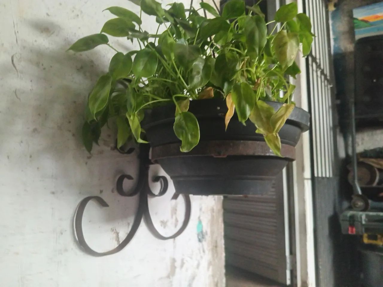 Suporte para plantas  - Foto 2