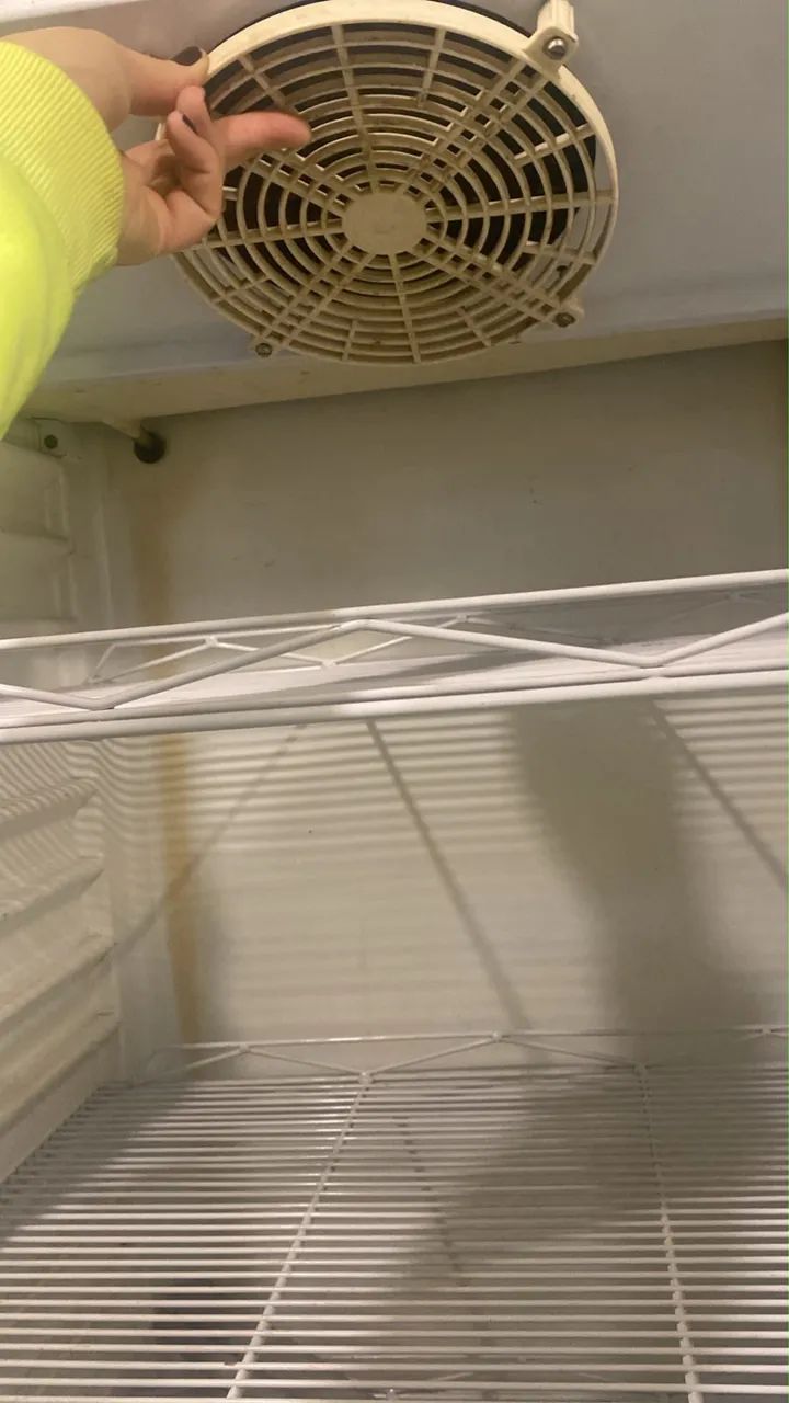 Cervejeira - Foto 4