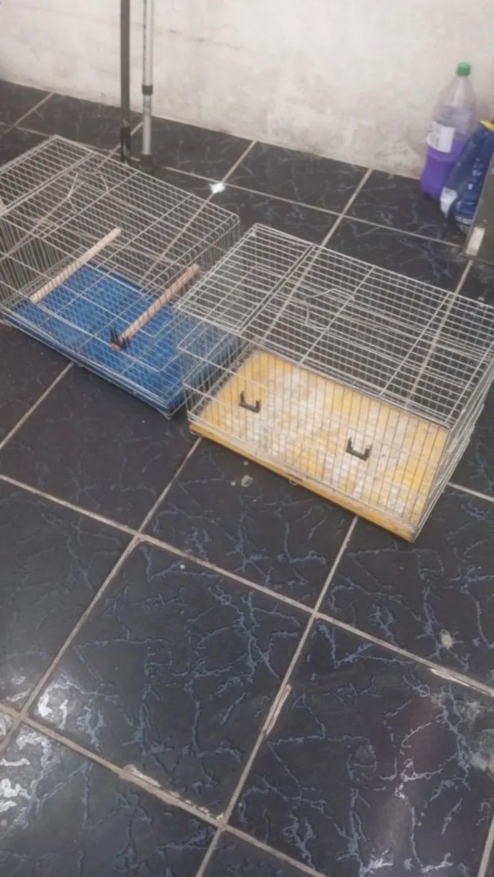 Vende-se gaiola de ferro - Foto 2
