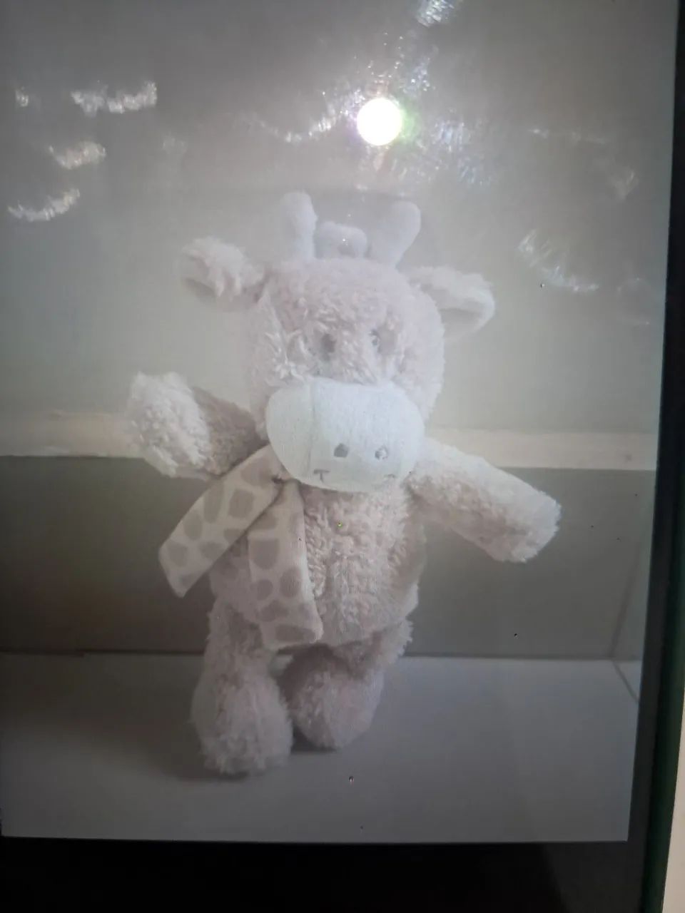 Girafa Buba  - Foto 2
