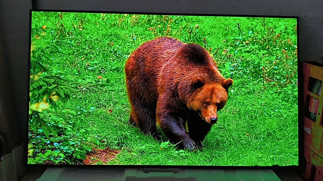 Tv Smart LG 55 Polegadas 4k Ultra HD OLED Completa  - Foto 4