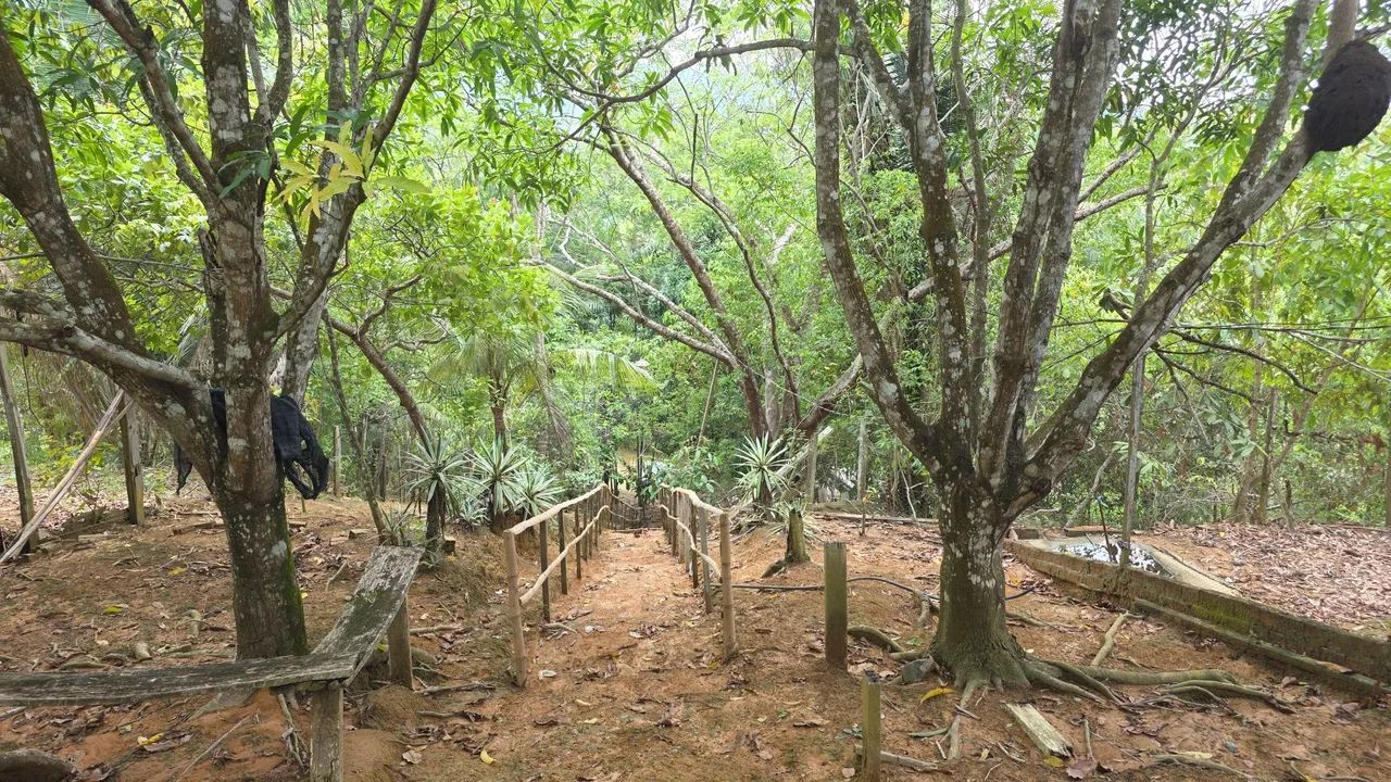 Chacara a Venda  - Foto 4