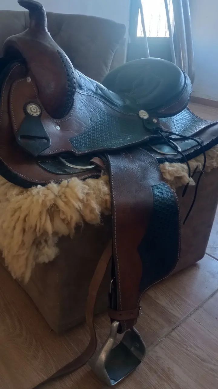 Sela americana (cavalos)