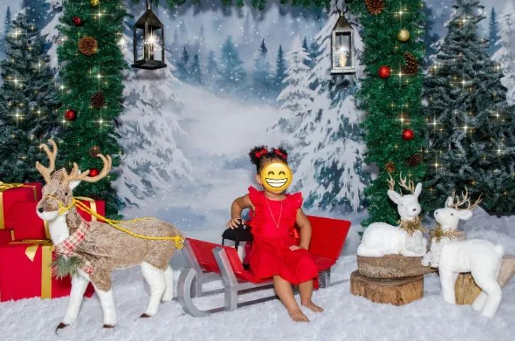 Vendo Trenó e Rena de natal - Foto 2
