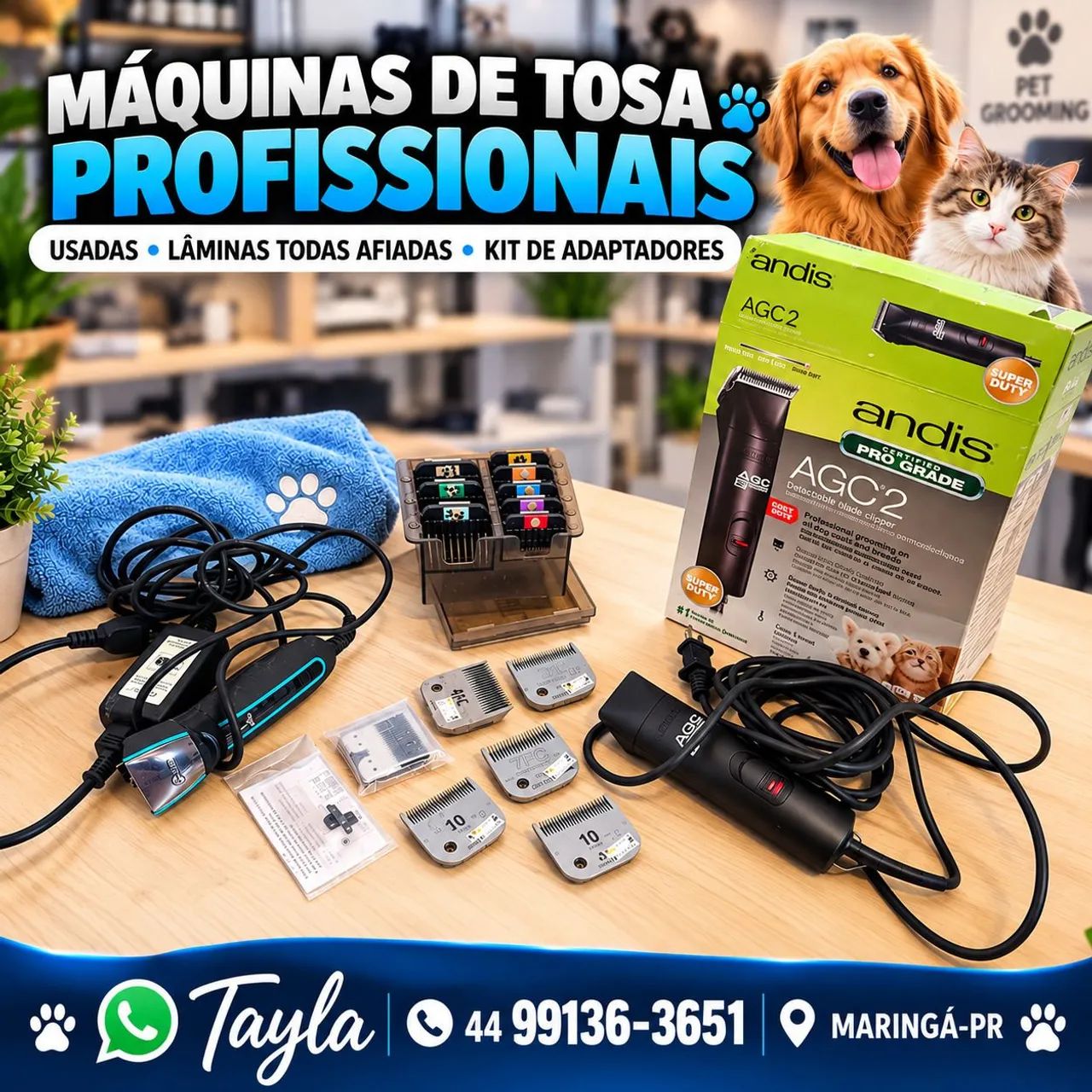 Banho e tosa  - Foto 4