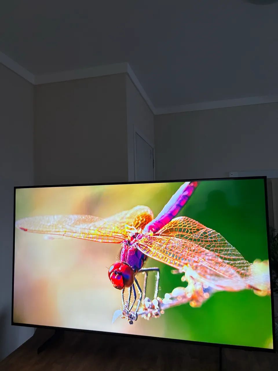 Tv Samsung 4K 55 polegadas garantia até março